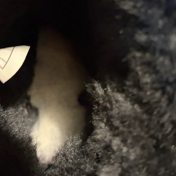 UGG Bailey Bling Boots - Picture 11 of 11